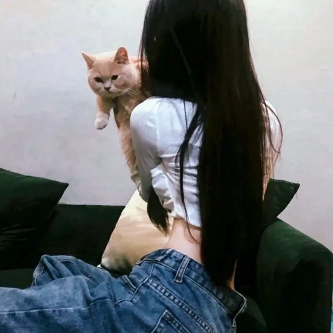 猫无赦